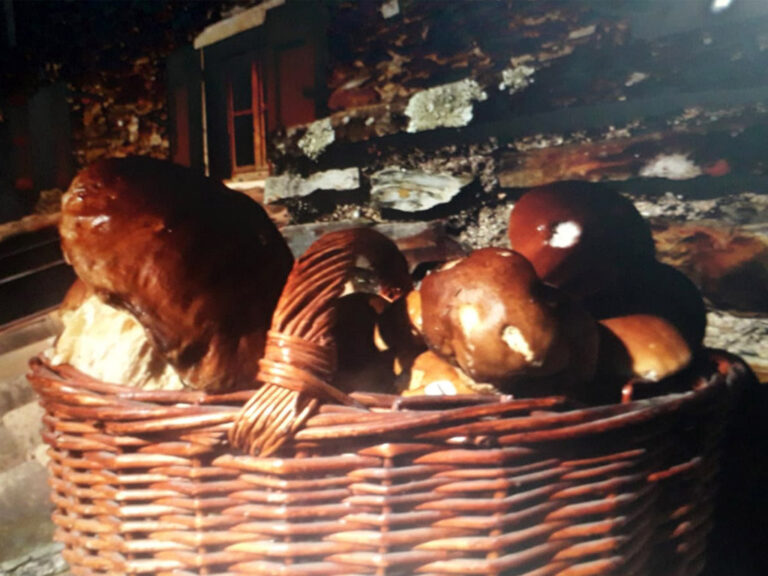 Champignons cueillis et cuisinés à l'auberge du mas de Daumet dans les Cévennes